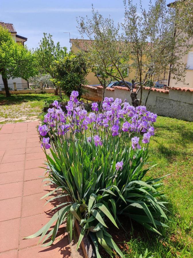 Apartments Erenda Fuškulin المظهر الخارجي الصورة