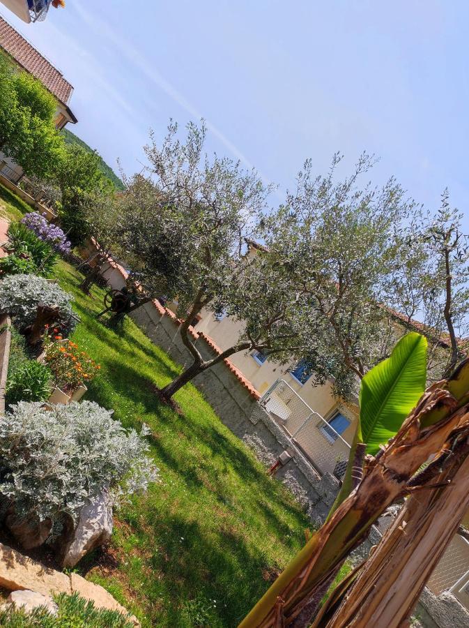 Apartments Erenda Fuškulin المظهر الخارجي الصورة